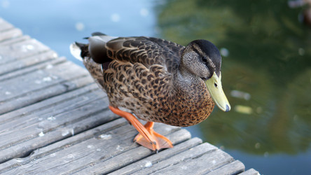 Similar image 21657381