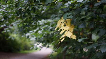 Similar image 21657382