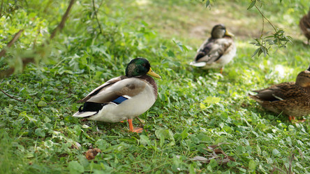 Similar image 21657383