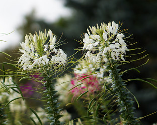 Similar image 21657385