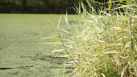 Similar image 21657387