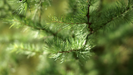 Similar image 21657388