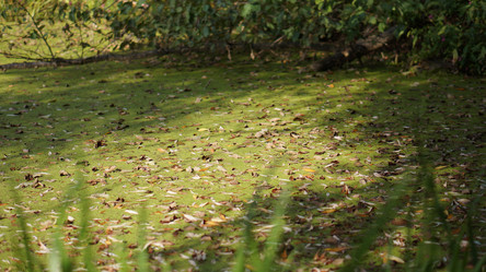 Similar image 21657389