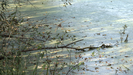 Similar image 21657390