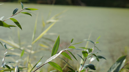 Similar image 21657391