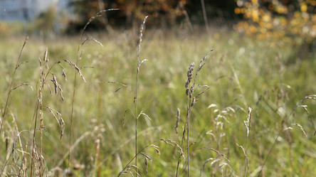 Similar image 21657392