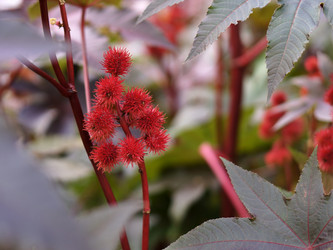 Similar image 21657393