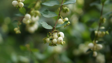 Similar image 21657395