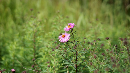 Similar image 21657396