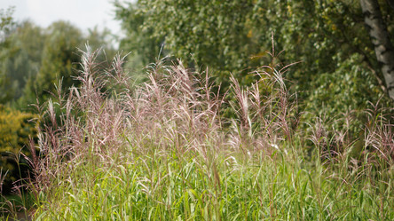 Similar image 21657397