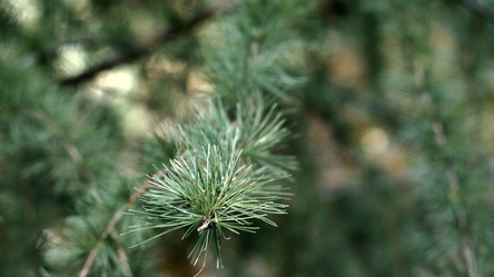 Similar image 21657398