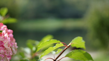 Similar image 21657399