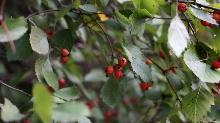 Similar image 21657400