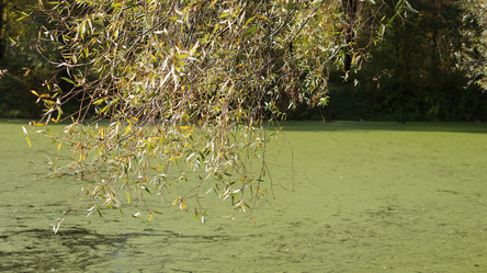 Similar image 21657401