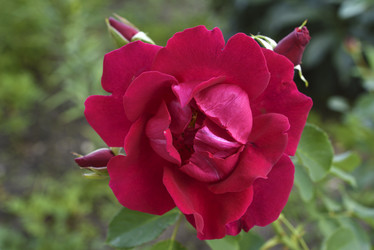 Similar image 21652301