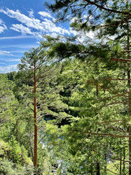 Similar image 21652307