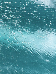 Similar image 21654352