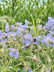 Similar image 21654359