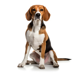 Similar image 21652322