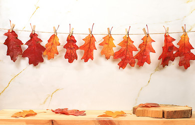 Similar image 21652323