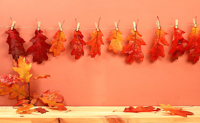 Similar image 21652328