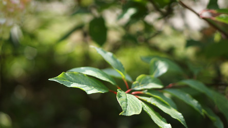 Similar image 21657469