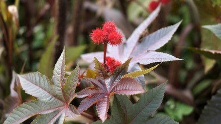 Similar image 21657472