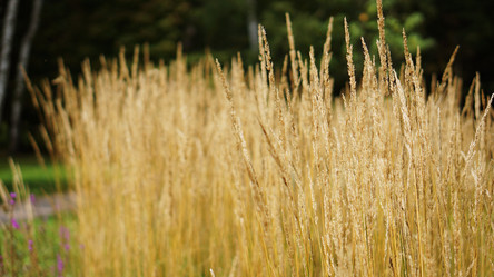 Similar image 21657546