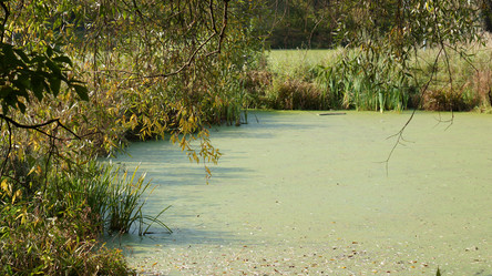 Similar image 21657548