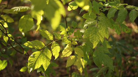 Similar image 21657549