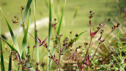 Similar image 21657551