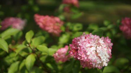 Similar image 21657552