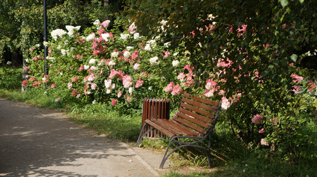 Similar image 21657553