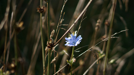 Similar image 21657554