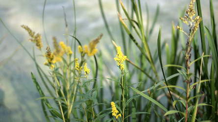 Similar image 21657555