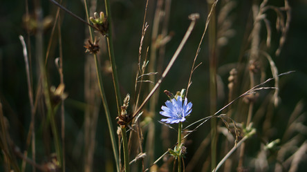 Similar image 21657556