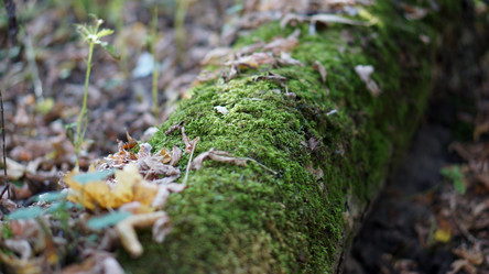 Similar image 21657557