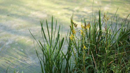 Similar image 21657559