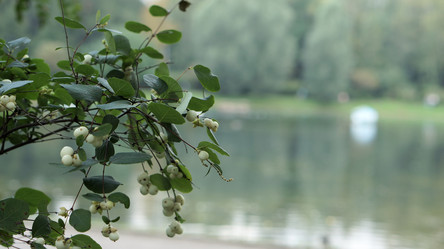 Similar image 21657560