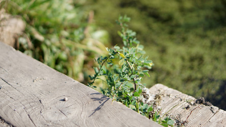 Similar image 21657561