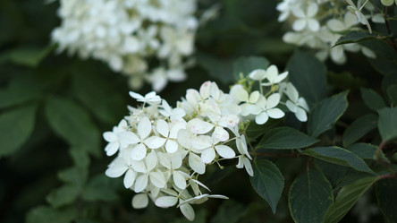 Similar image 21657564