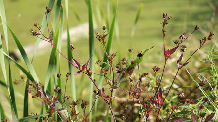 Similar image 21657565