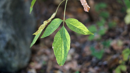 Similar image 21657566