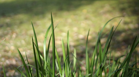 Similar image 21657568