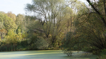 Similar image 21657569