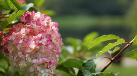 Similar image 21657571