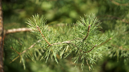 Similar image 21657572