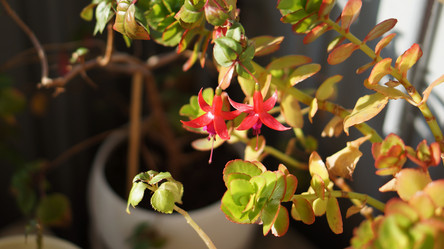 Similar image 21657573