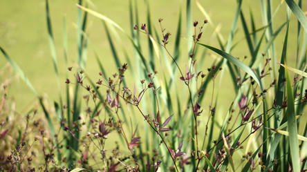 Similar image 21657574