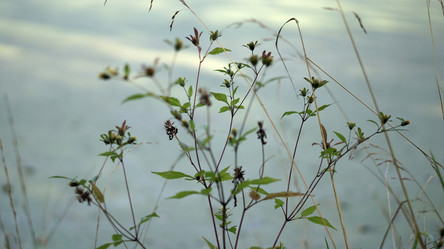 Similar image 21657575